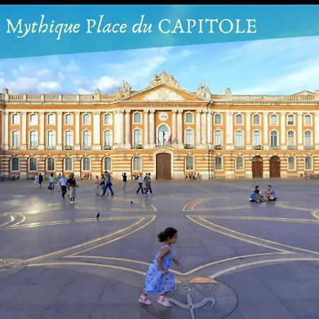 L Oasis Proche Hôpital Et Aéroport Piscine Parking &netflix * Toulouse