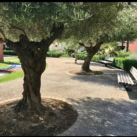 L Oasis Proche Hôpital Et Aéroport Piscine Parking &netflix