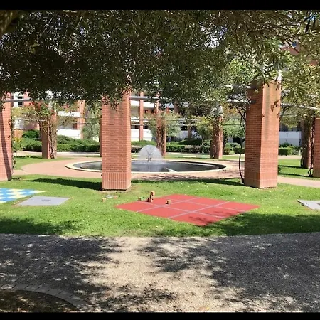 L Oasis Proche Hopital Et Aeroport Piscine Parking &netflix * Toulouse