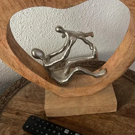 L Oasis Proche Hôpital Et Aéroport Piscine Parking &netflix