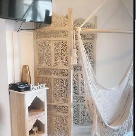 Appartement L Oasis Proche Hôpital Et Aéroport Piscine Parking &netflix