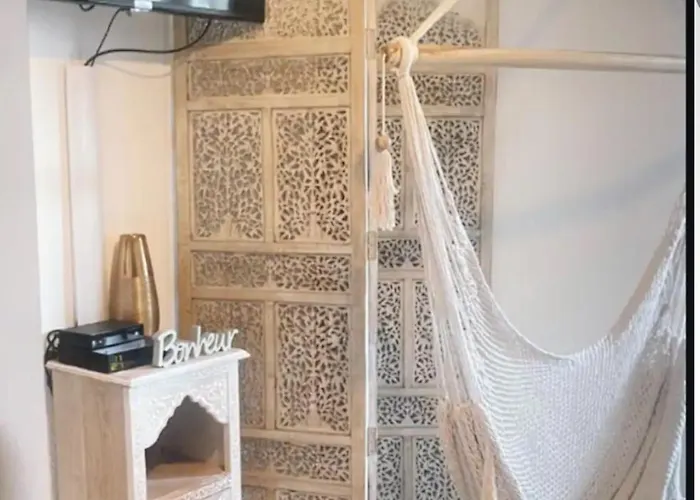 Apartment L Oasis Proche Hopital Et Aeroport Piscine Parking &netflix