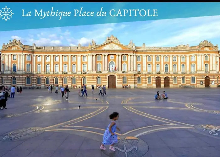 L Oasis Proche Hopital Et Aeroport Piscine Parking &netflix * טולוז