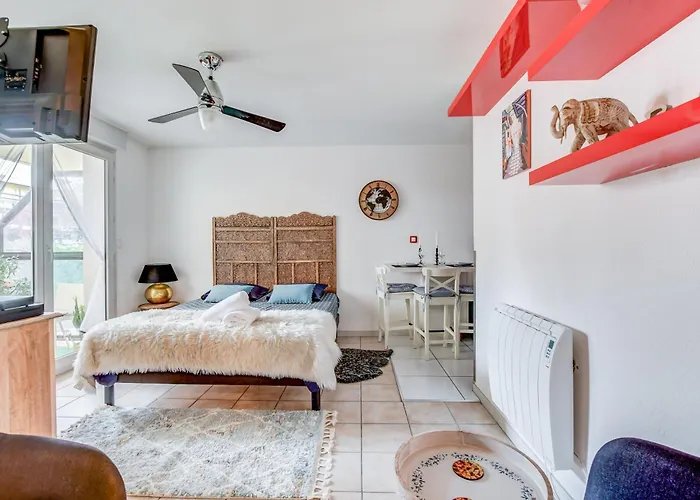 L Oasis Proche Hopital Et Aeroport Piscine Parking &netflix