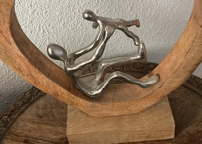 L Oasis Proche Hopital Et Aeroport Piscine Parking &netflix